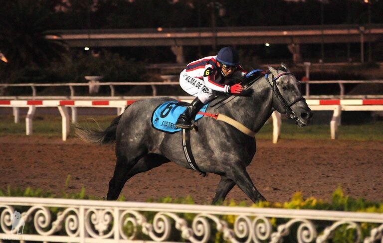 Strategos le dio la razón a la cátedra