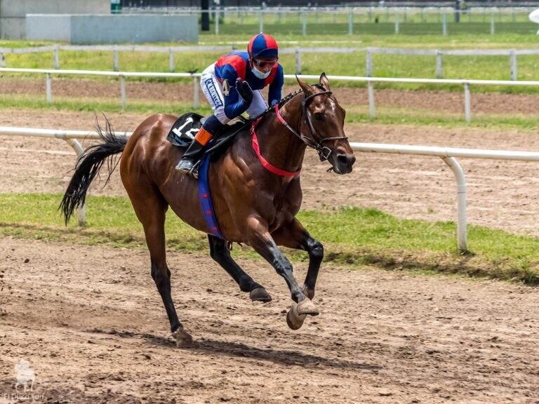 Un paseo para Man To Man