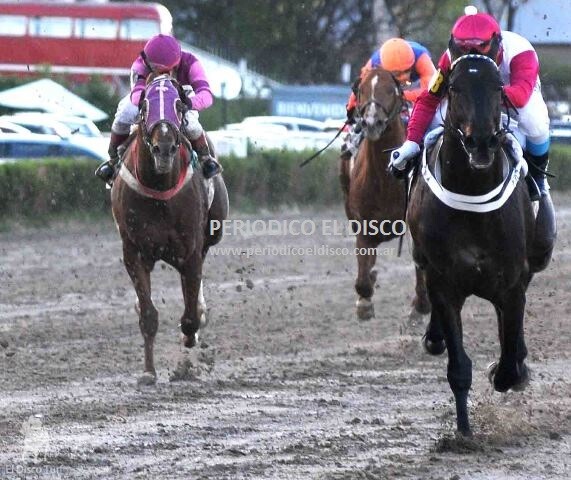 Fragoscópica firme protagonista de la Polla de Productos