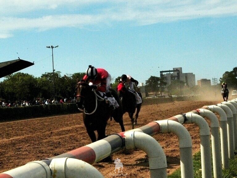 Que Talentosa reina del Carnaval