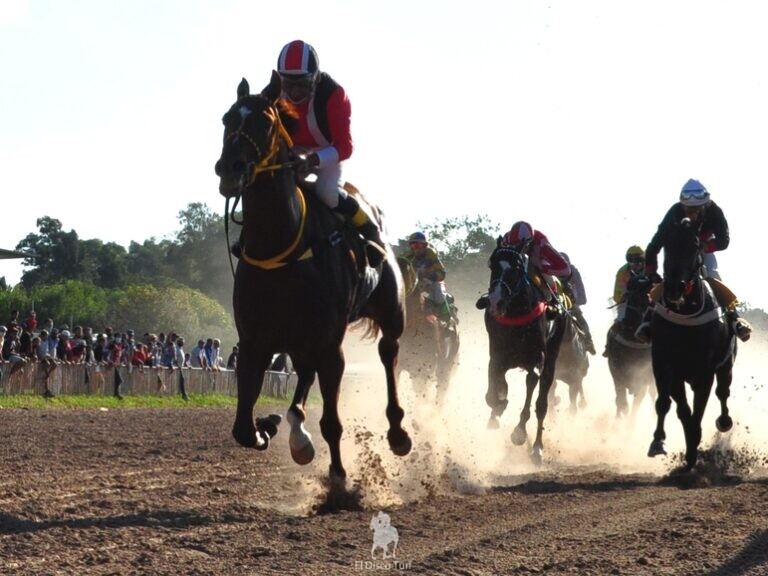 Los resultados de Las Flores