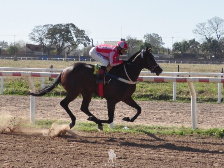La gloria para Chimi Melo