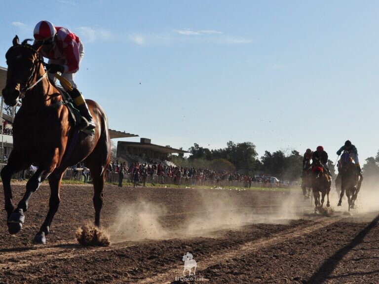 El Milagro de Francisco