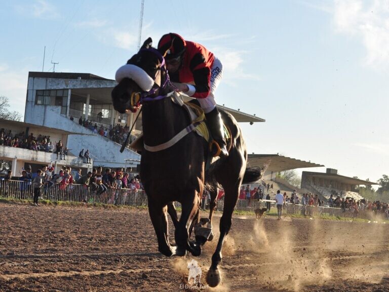 Los resultados de Las Flores