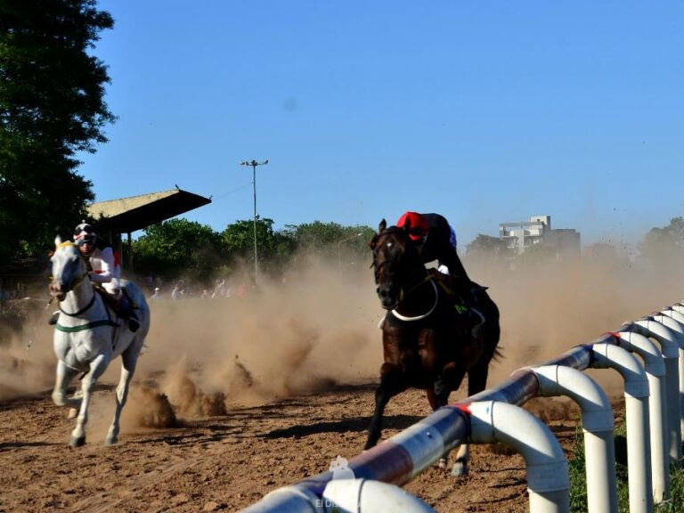 Seattle Jack se impuso por 3/4 cuerpo