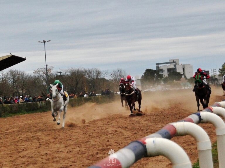 Carpet Crawler en homenaje a Juan Peñalva