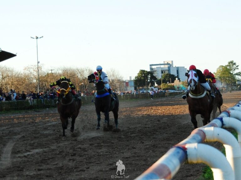 Cuando llega el Temblor…