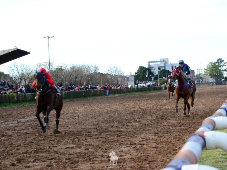 Amanecer con Dulce Miel