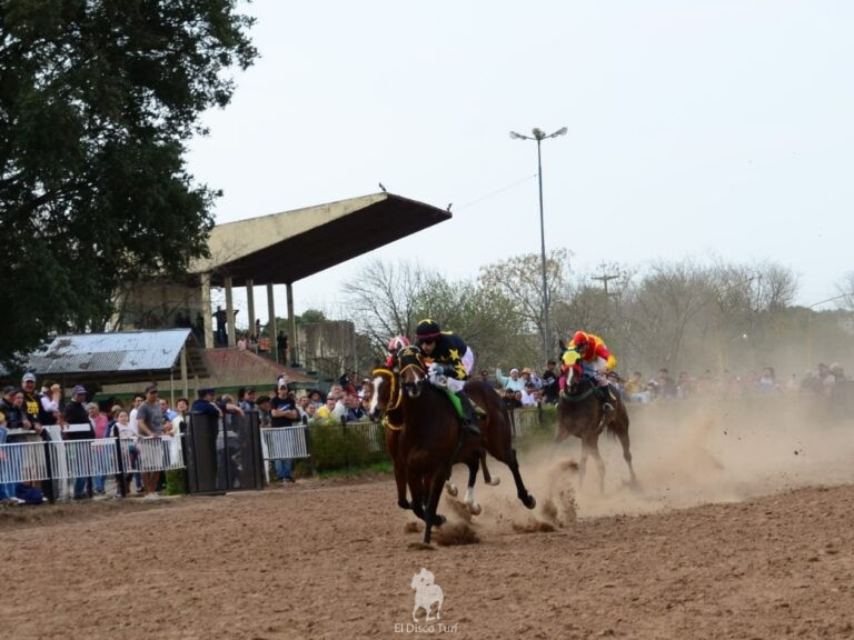 El Maestro Súper Rec