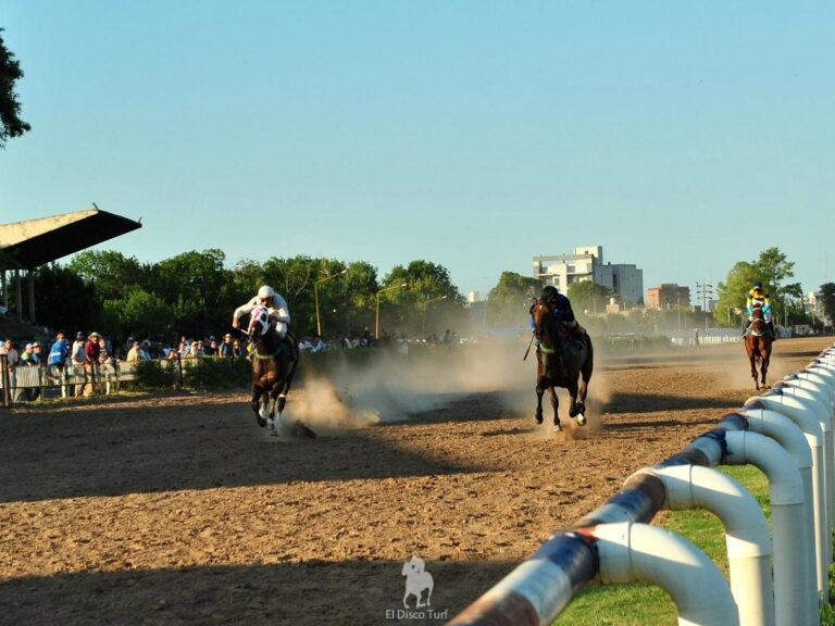 Land Bes abrió el juego